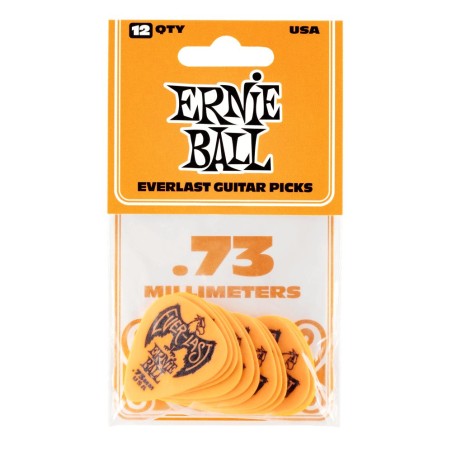 Ernie Ball 9190 .73 Everlast
