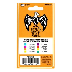 Ernie Ball 9190 .73 Everlast