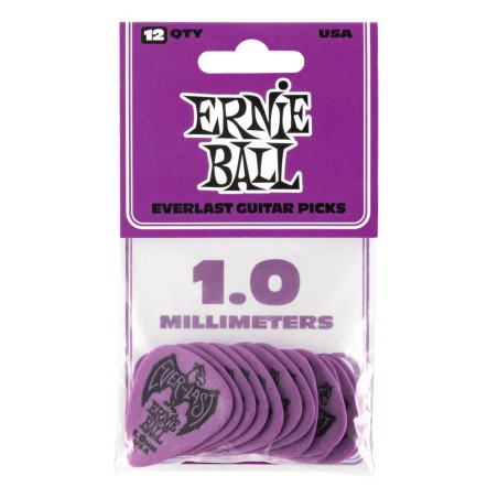 Ernie Ball 9193 1.00 Everlast