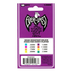 Ernie Ball 9193 1.00 Everlast