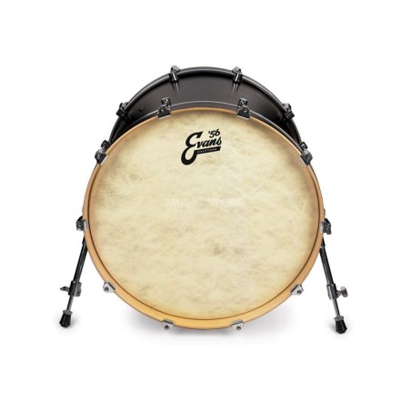 EVANS Calftone 18" BD18CT