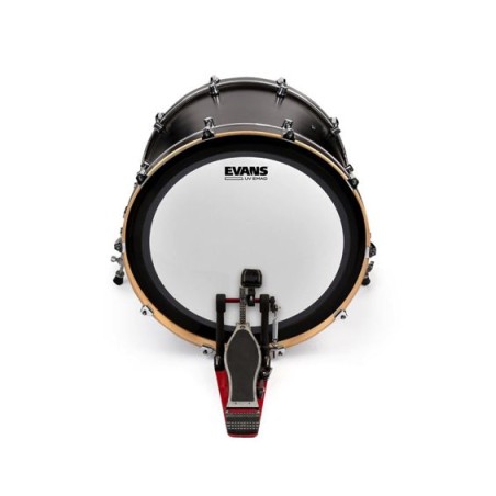 EVANS EMAD UV Coated 22" BD22EMADUV
