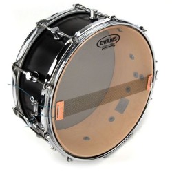 EVANS 300 Clear 12" S12H30