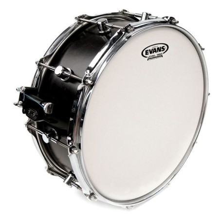EVANS Genera HD Coated 13" B13HD
