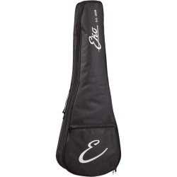 Eko Duo Ukubass EQ Fretless