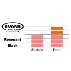 EVANS Resonant Black 13" TT13RBG