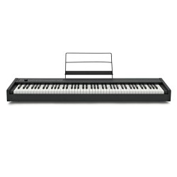 KORG D1