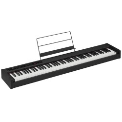 KORG D1