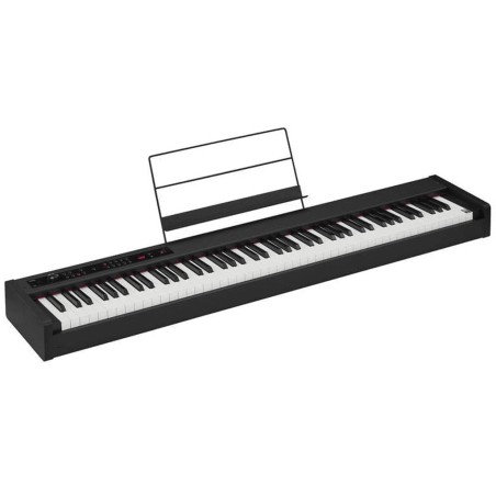 KORG D1