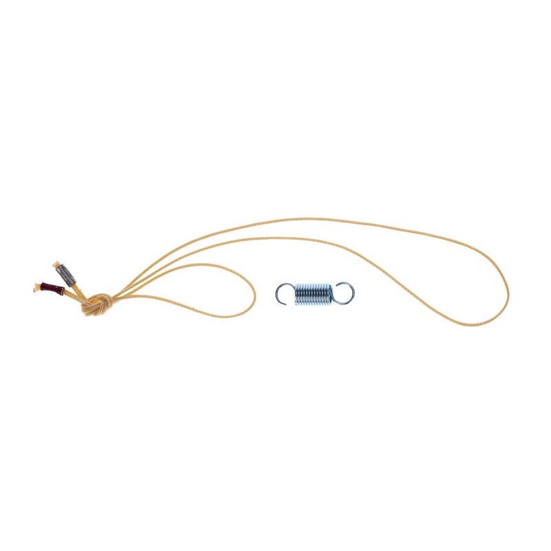 Ernie Ball 6172 Cord/Spring Kit