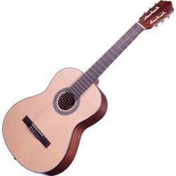 Crafter HC-100/N
