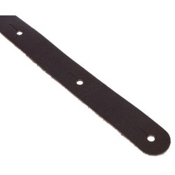 D'Addario 25BL01