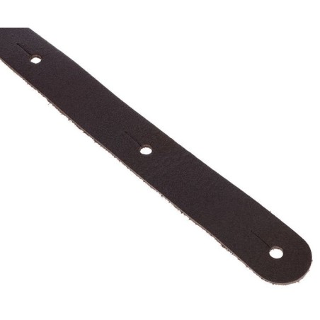 D'Addario 25BL01
