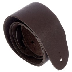 D'Addario 25BL01