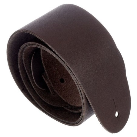 D'Addario 25BL01