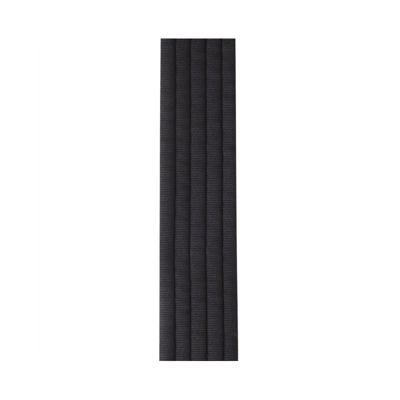 D'Addario 50BAL01 Auto Lock Black Padded