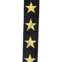D'Addario 20T05 Gold Star