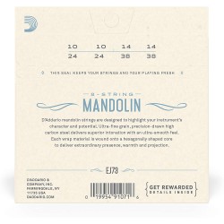 D'Addario EJ73 Mandolin Light