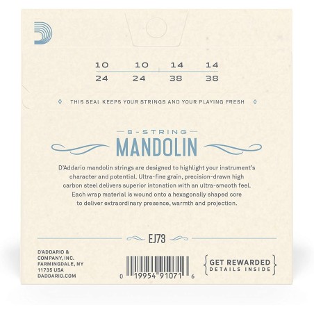 D'Addario EJ73 Mandolin Light