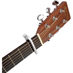 D'Addario CP-02S Pro Capo Silver