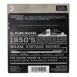 D'Addario EPN110 Regular Light 10-45