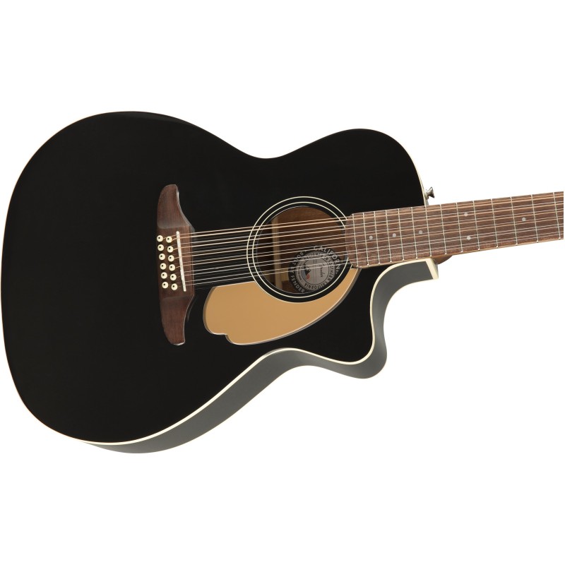 Fender villager 12-String WN Black V3