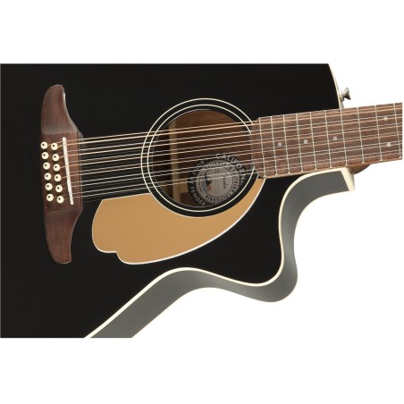 Fender villager 12-String WN Black V3