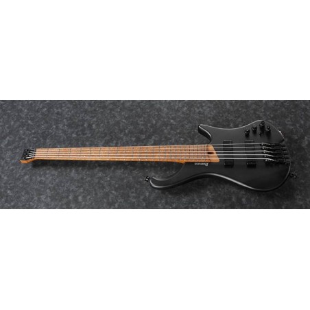 Ibanez EHB1005-BKF Black Fat