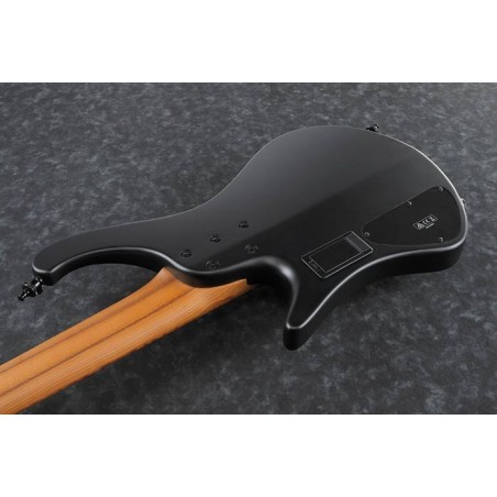 Ibanez EHB1005-BKF Black Fat