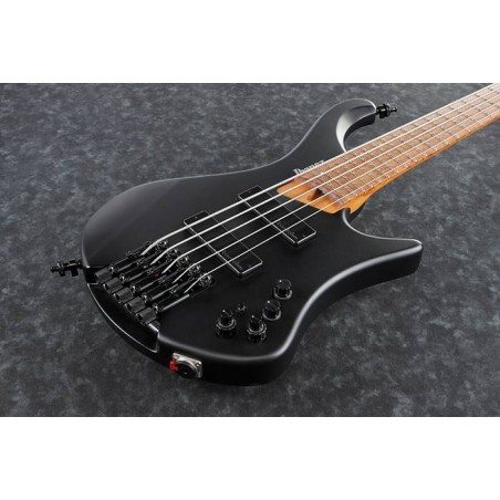 Ibanez EHB1005-BKF Black Fat