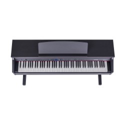 ORLA CDP101-RW Rosewood