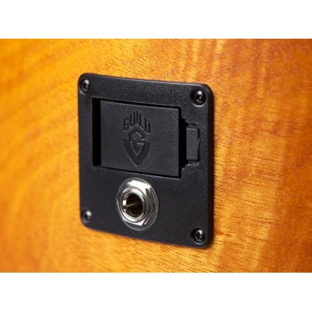 Guild D-240E Limited Flamed Mahogany
