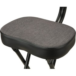 Fender 351 Seat Combo