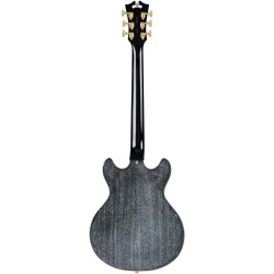 D'Angelico Excel Mini DC Black Dog