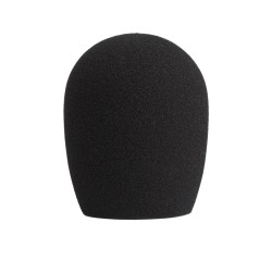 Shure A32WS