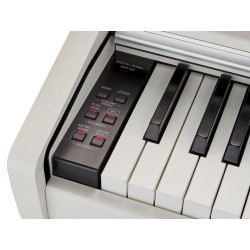KAWAI KDP120 White