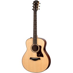 Taylor GTe Urban Ash
