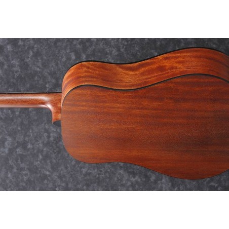 Ibanez AAD100 Open Pore Natural