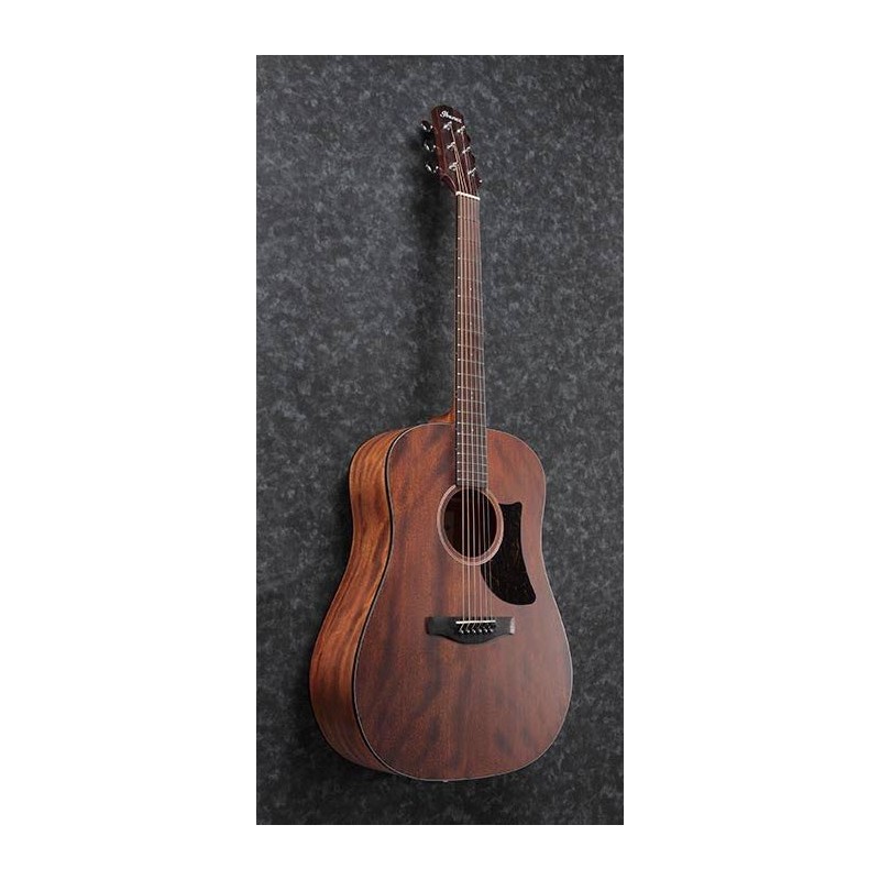 Ibanez AAD140 Open Pore Natural