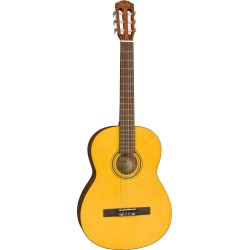 Fender ESC-110 Educational WN W/Gig Bag