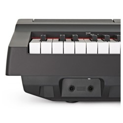 YAMAHA P-125B