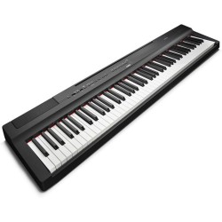 YAMAHA P-125B