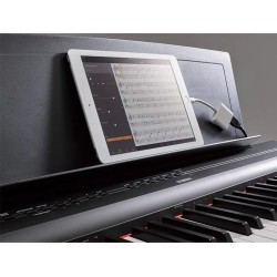 YAMAHA P-125B