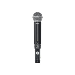 SHURE BLX24RE/SM58 M17