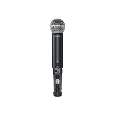 SHURE BLX24RE/SM58 M17