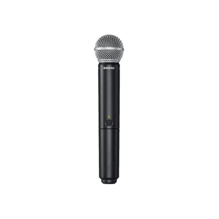 SHURE BLX24RE/SM58 M17