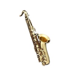 Grassi TS210