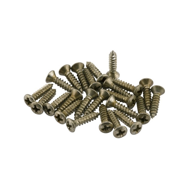 Fender Road Worn Pickguard/Control Plate Screws