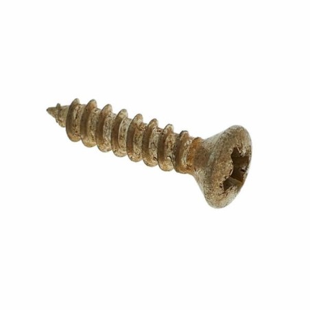 Fender Road Worn Pickguard/Control Plate Screws