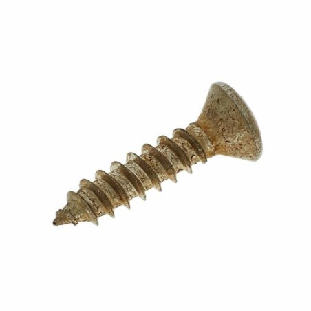 Fender Road Worn Pickguard/Control Plate Screws